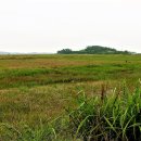 금호교차로~금호방조제 이미지