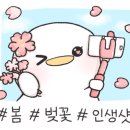 도야진가 판교점 이미지