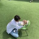 호양