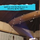 금사리 빨간지붕집 네이버블로그