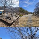 하이드온부쉬 이미지