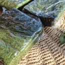 터미널방앗간 이미지