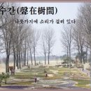 짧은훈화글-성재수간(聲在樹間) 이미지