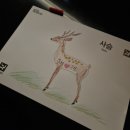 수풍숲 | [전시/체험] 강릉 아르떼뮤지엄 후기 | 주차, 예매 방법, 오르세 미술관 협업 전시, 티바