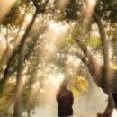 The 숲 요양원 이미지