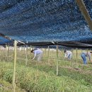 금산군청 이미지