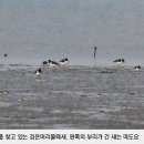 서천개발