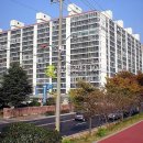 도동천로 이미지