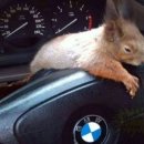 우정 동물병원 이미지