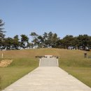 홍주의사총 이미지