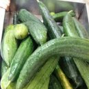 오뚜기농장 이미지