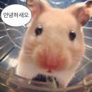 제6회 글로벌 드림 콘서트 | 능동적으로 드림에게 간다.(feat. SM 글로벌패키지)