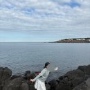 돌담할망보말톳칼국수 이미지