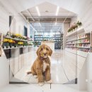 강북생활문화센터1 | 강북구 유기견보호센터와 강아지 무료분양사이트 어디가 답일까요