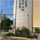 퇴계원교회 | 교회 담장 나무 벌목작업 비용 가지치기 업체