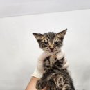 역동로 64 이미지