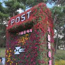 화순군고인돌유적지5쉼터대신리 | 전남 10월 가볼만한 곳 추천 화순 고인돌 가을꽃축제 후기