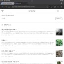 노피아 이미지