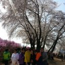 원미공원 이미지