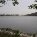 기흥호수공원 이미지