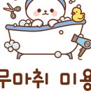 버블냥 이미지