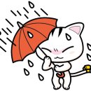 숲속꼬마어린이집 이미지