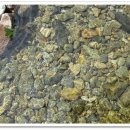 횡성군 병지방 오토캠핑장 이미지