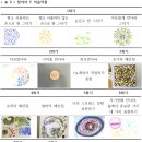 연구결과 - 참여자 C 이미지