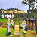 영천한의마을 식당 이미지