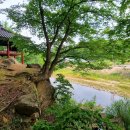 풍산공원 이미지