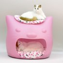 고양이집 이미지