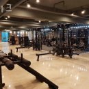팀샤크