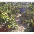 비학농장 이미지