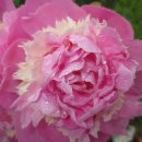 관악산현대홈타운 이미지