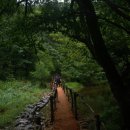 제402차10월25일 주왕산(절곡계곡)산행공지 이미지