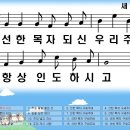 새찬송가 569장 선한 목자 되신 우리 주[442] 이미지