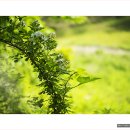 성주골 - 부천시 소사구 | 성주골