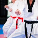 인하코리아 태권도 이미지