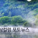 파란봄 이미지