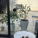 대곡길 | 대구 근교(생수정, 랩에쏘 갤러리 이서) 다녀온 후기!