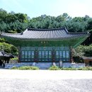 화림전기