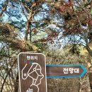 장성공원1 이미지
