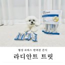 오늘도 뽀송하개 이미지