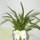 왕산중학교 이미지