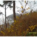 사구미해안도로 이미지