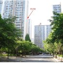 경기도 수원시 영통구 태장로82번길 이미지