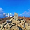 24년10월8일 971차 오대산 단풍 종주 산행 이미지