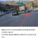 백운정 솔숲 공중화장실 | 구름품은캠핑장/영월 애견동반캠핑장/데크18