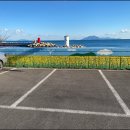 남해활어회 이미지