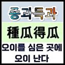 종과득과(種瓜得瓜) 이미지